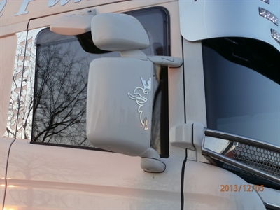 Demi griffon Scania en acier inox - SCANIA - AUTRES ACCESSOIRES